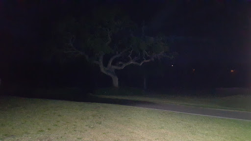 Golf Course «Dunedin Golf Club», reviews and photos, 1050 Palm Blvd, Dunedin, FL 34698, USA