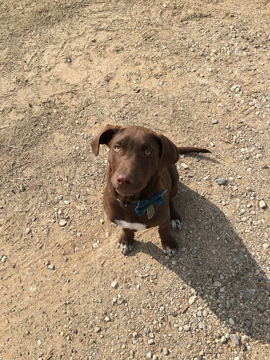 Airsoft Supply Store «878 Airsoft», reviews and photos, 4020 Farm to Market Rd 878, Waxahachie, TX 75165, USA