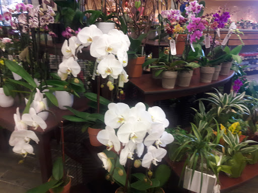 Grocery Store «Safeway», reviews and photos, 10223 Gravelly Lake Dr SW, Lakewood, WA 98499, USA