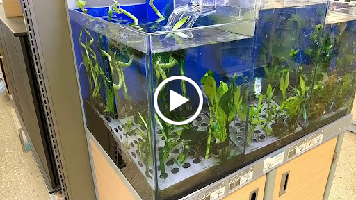 Pet Supply Store «Petco Animal Supplies», reviews and photos, 265 N Broadway f, Hicksville, NY 11801, USA