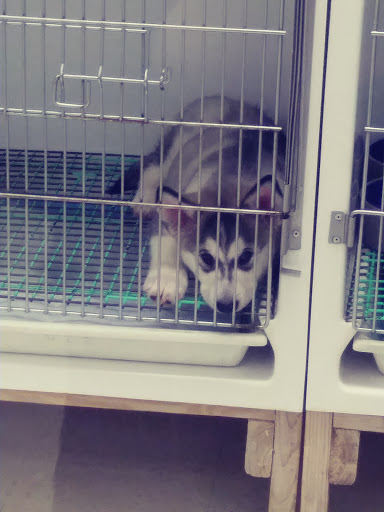 Tropical Fish Store «Animal House Pet Shop», reviews and photos, 358 Warner Milne Rd #110, Oregon City, OR 97045, USA