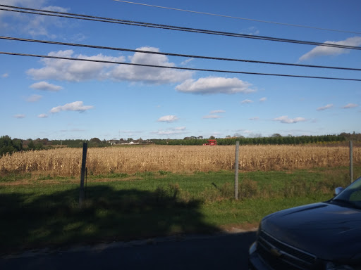 Self-Storage Facility «Life Storage», reviews and photos, 9 Hardscrabble Court, East Hampton, NY 11937, USA