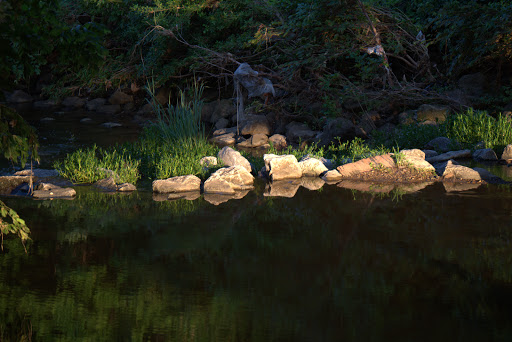 Park «Bob Eden Park», reviews and photos, 901 W Mid Cities Blvd, Euless, TX 76039, USA