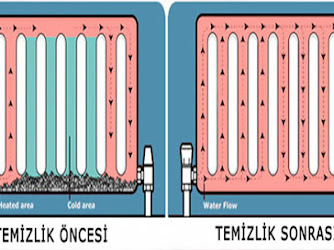 Karşıyaka Petek Temizleme Servisi