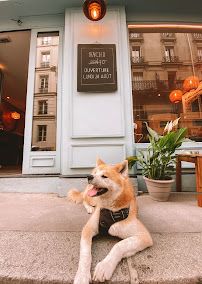 Photos du propriétaire du Restaurant japonais authentique HACHI BENTO à Paris - n°7