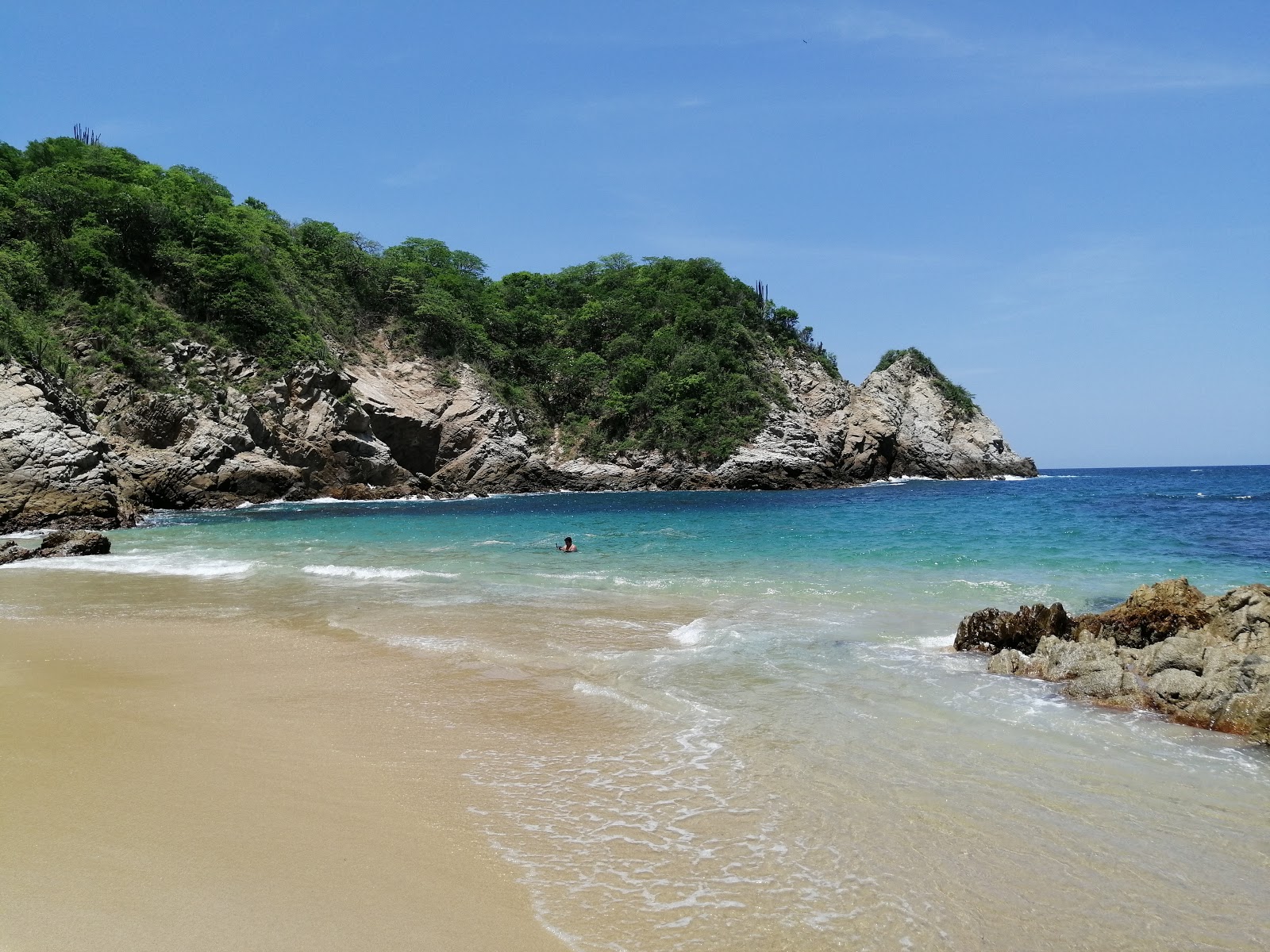 Zdjęcie Violin Huatulco beach z poziomem czystości wysoki