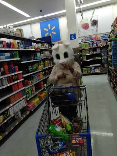 Discount Store «Walmart», reviews and photos, 1000 Easton Rd #200, Wyncote, PA 19095, USA