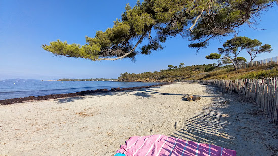 Plage de la Vignasse