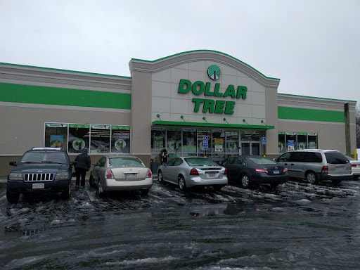Dollar Store «Dollar Tree», reviews and photos, 383 Allen St, Springfield, MA 01118, USA