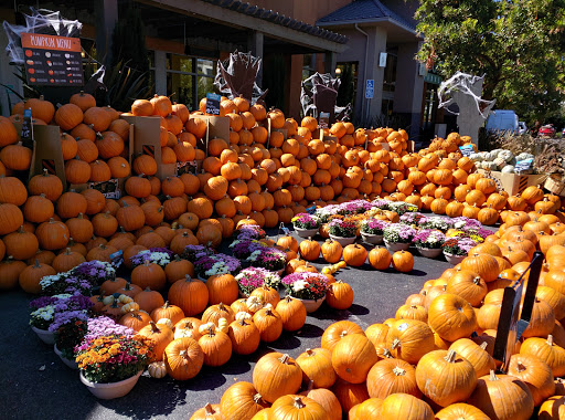 Grocery Store «Whole Foods Market», reviews and photos, 4800 El Camino Real, Los Altos, CA 94022, USA