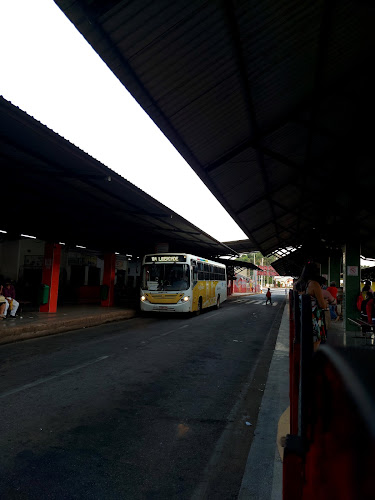 Terminal Urbano - Serviço de transporte
