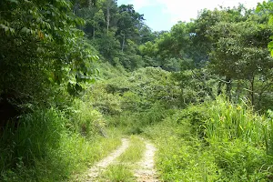 Capiro National Park image