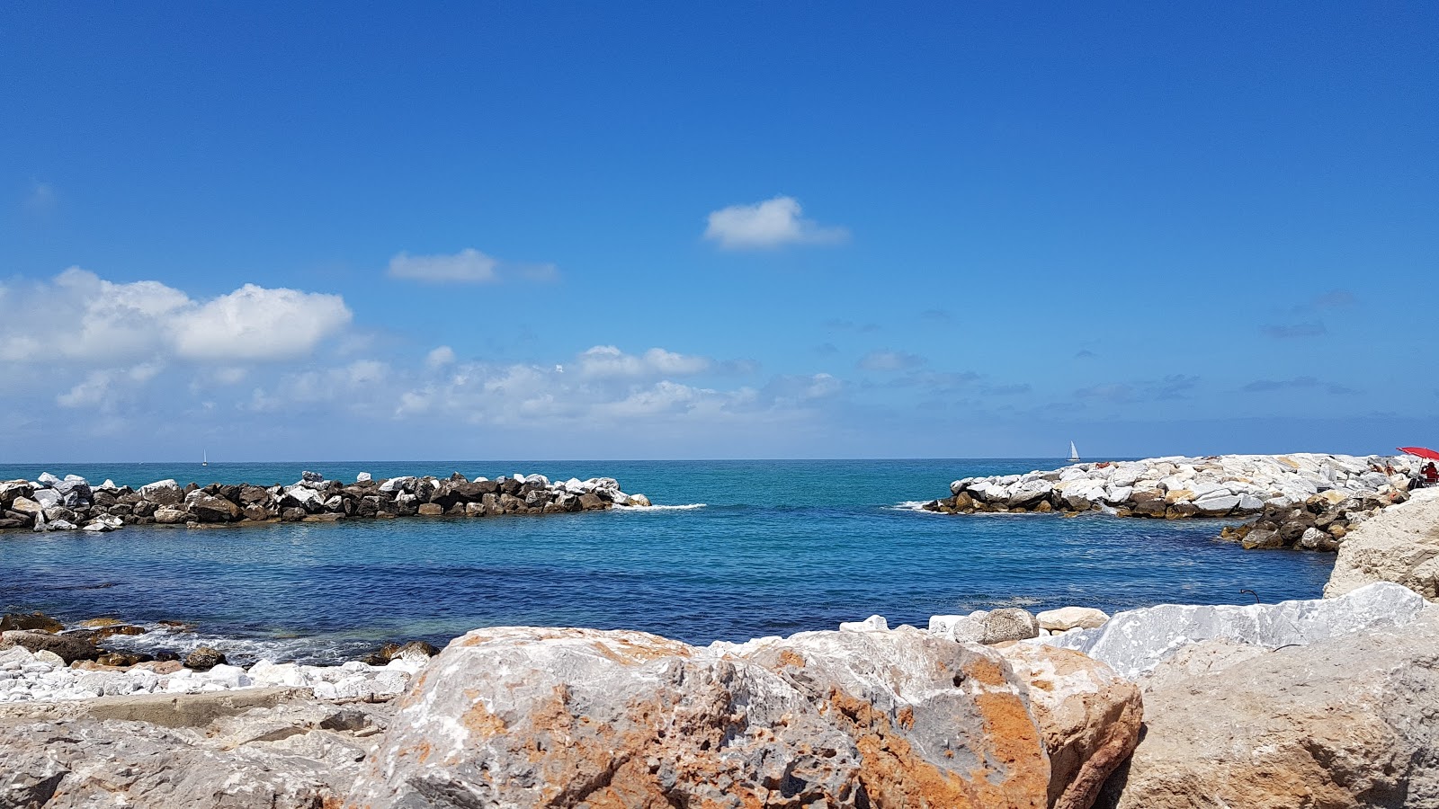 Marina di Pisa'in fotoğrafı geniş ile birlikte