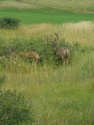 Golf Course «The Pinery Country Club», reviews and photos, 6900 N Pinery Pkwy, Parker, CO 80134, USA