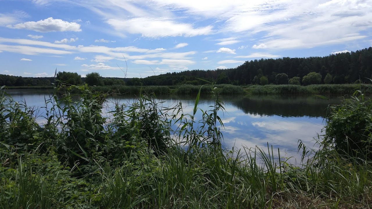 Зображення