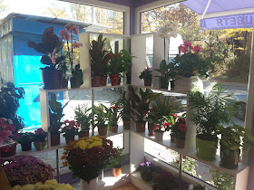 Магазин за цветя "Juliana flowers"