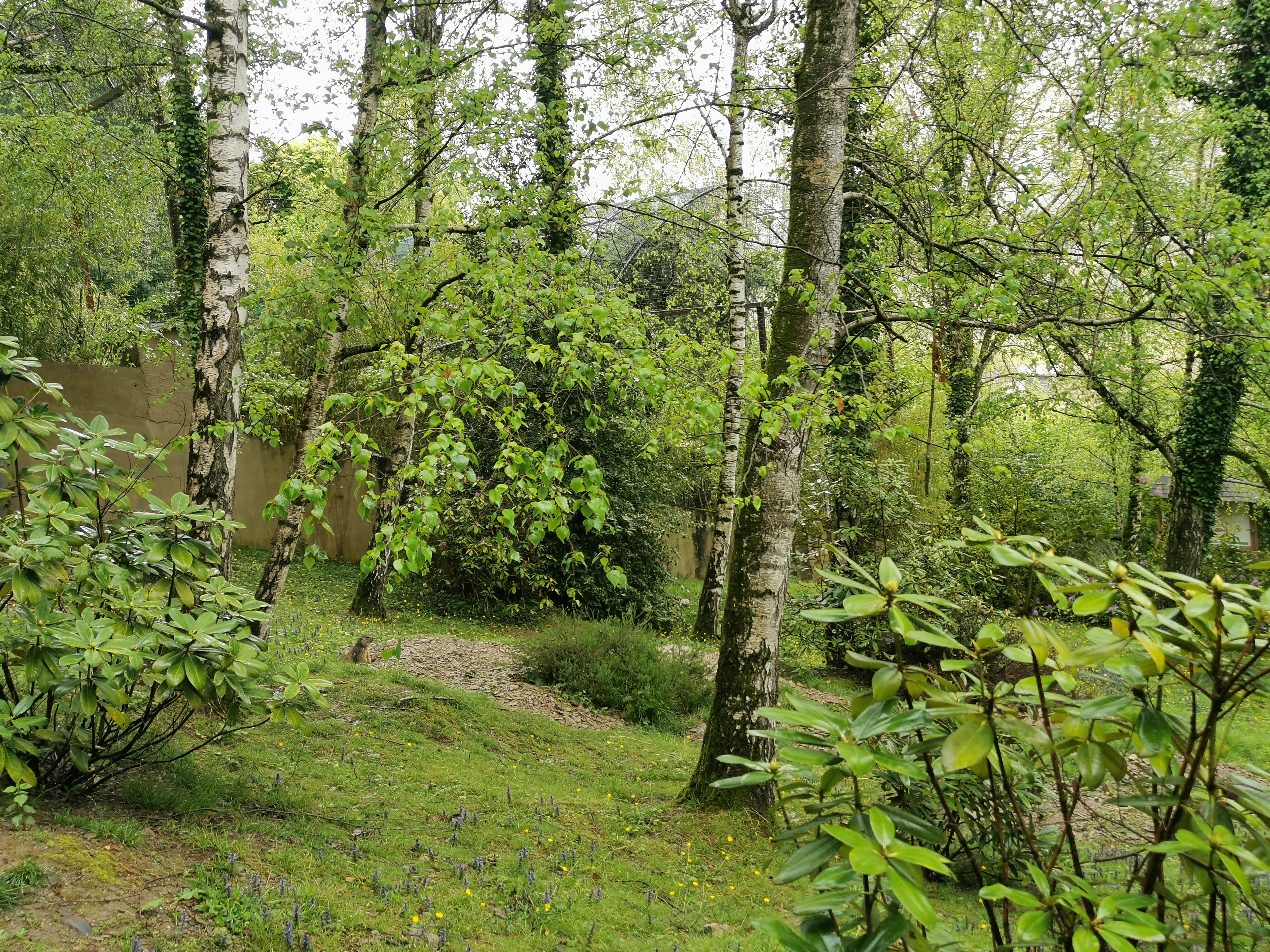 Photo n° 7 de l'avis de Alice-mae.o fait le 25/04/2023 à 14:00