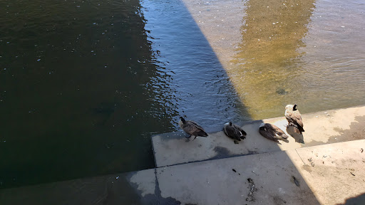 Camping Store «REI», reviews and photos, 1416 Platte St, Denver, CO 80202, USA