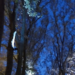 Photo n° 12 de l'avis de philippe.r fait le 22/11/2023 à 09:53 pour Château de Chenonceau à Chenonceaux