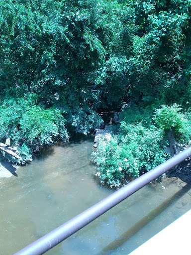 Nature Preserve «Blue Heron Nature Preserve», reviews and photos, 4055 Roswell Rd NE, Atlanta, GA 30342, USA