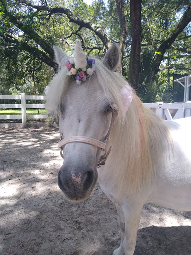 Event Venue «Horsepower Ranch & Events», reviews and photos, 280 Campbell Ranch Run, Geneva, FL 32732, USA