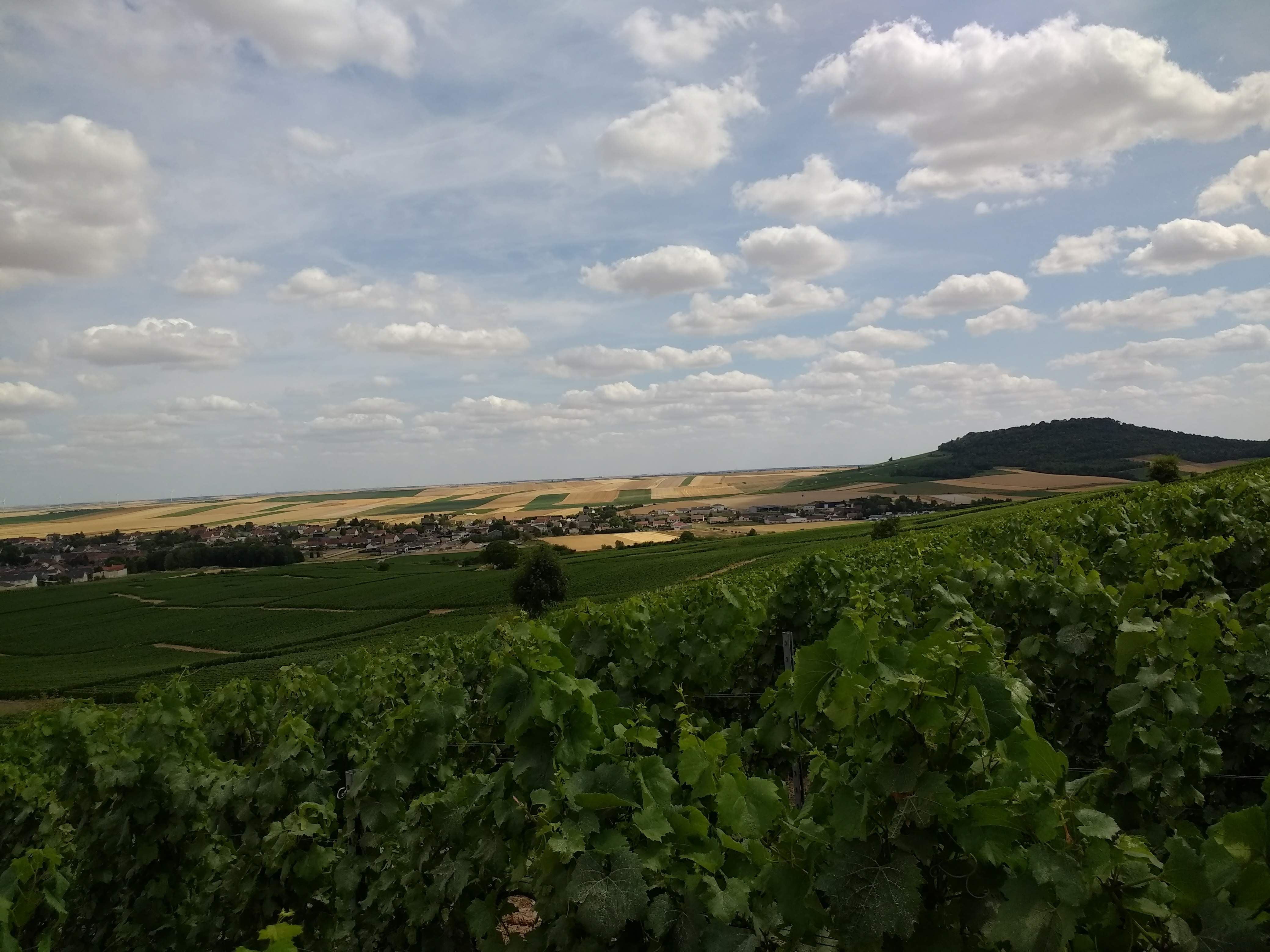 Photo n° 4 de l'avis de philippe.e fait le 21/07/2019 à 18:37