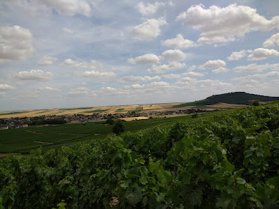 CHAMPAGNE PERROT-BATTEUX & FILLES à Bergères-lès-Vertus