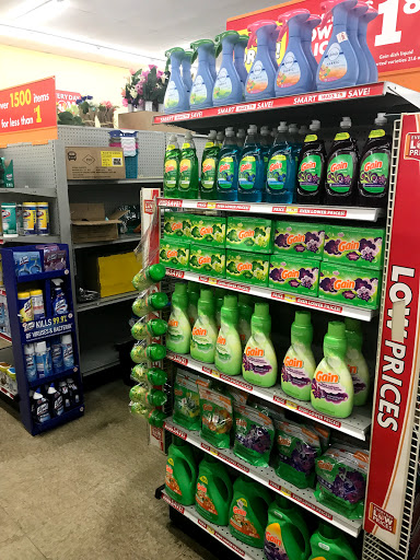 Dollar Store «FAMILY DOLLAR», reviews and photos, 2433 Delowe Dr, East Point, GA 30344, USA