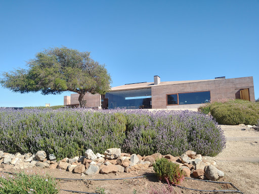 Viña Casas del Bosque