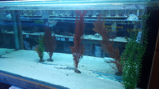 Aquarium Shop «Exotic Aquariums», reviews and photos, 7399 Bird Rd, Miami, FL 33155, USA
