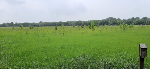 Museum «Burden Museum & Gardens», reviews and photos, 4560 Essen Ln, Baton Rouge, LA 70809, USA