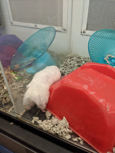 Pet Supply Store «Petco Animal Supplies», reviews and photos, 16710 Royalton Rd, Strongsville, OH 44136, USA