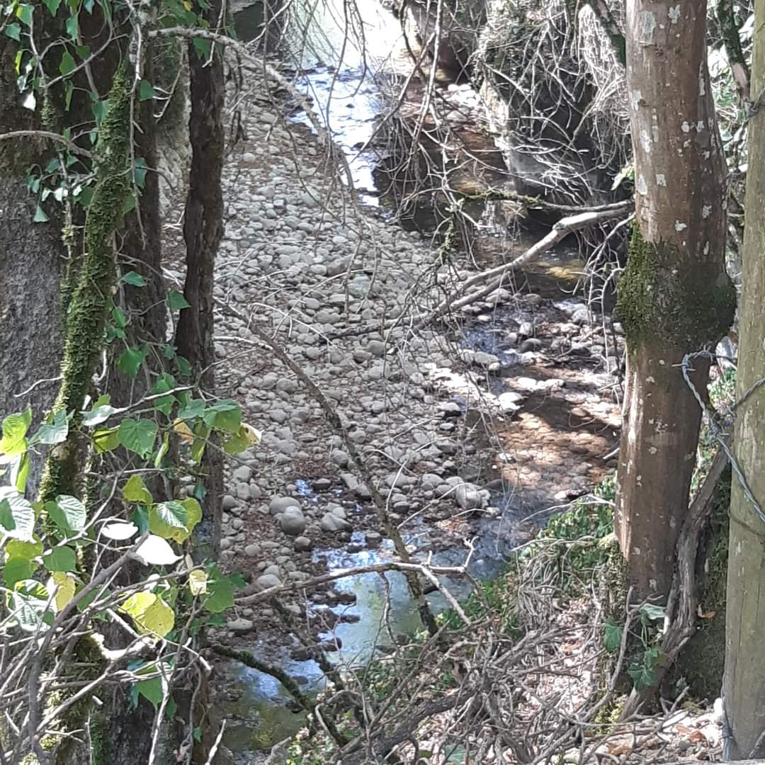 Photo n° 24 de l'avis de Anne.i fait le 13/08/2022 à 16:33