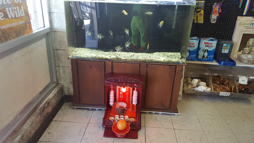 Pet Supply Store «Tropical Fish & Pet Shop», reviews and photos, 1431 Tara Hills Dr, Pinole, CA 94564, USA