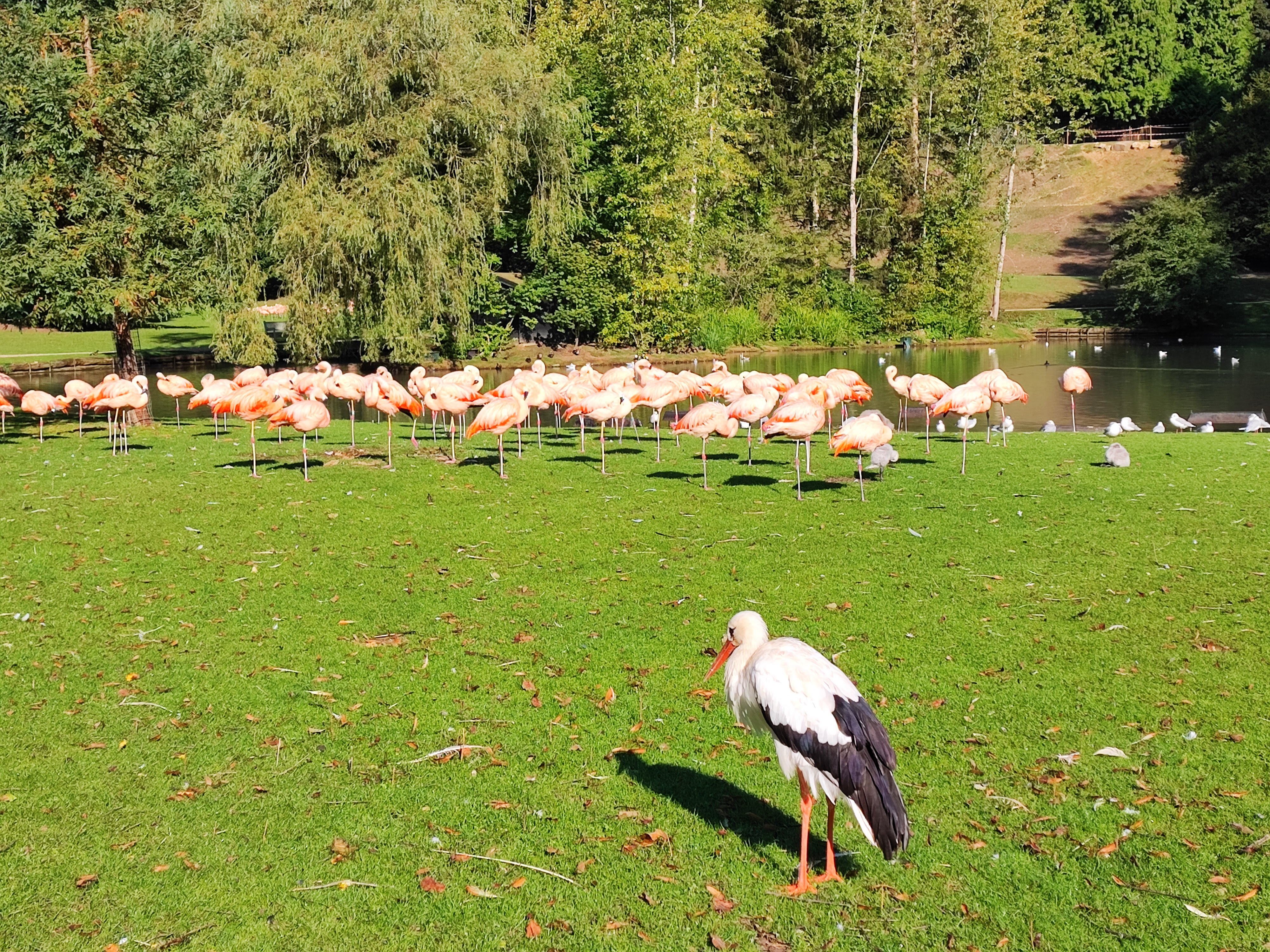 Photo n° 2 de l'avis de Stéphane.o fait le 25/09/2022 à 07:34