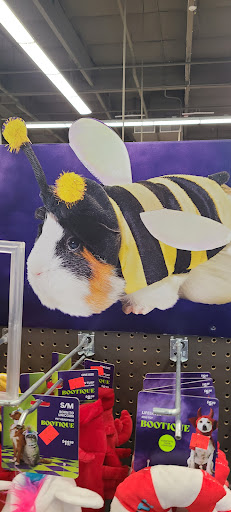 Petco image