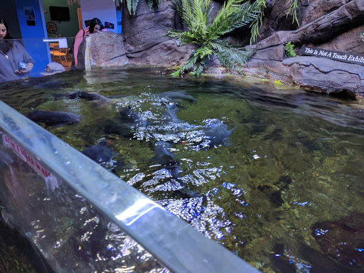 Aquarium «Aquarium of Boise», reviews and photos, 64 N Cole Rd, Boise, ID 83704, USA