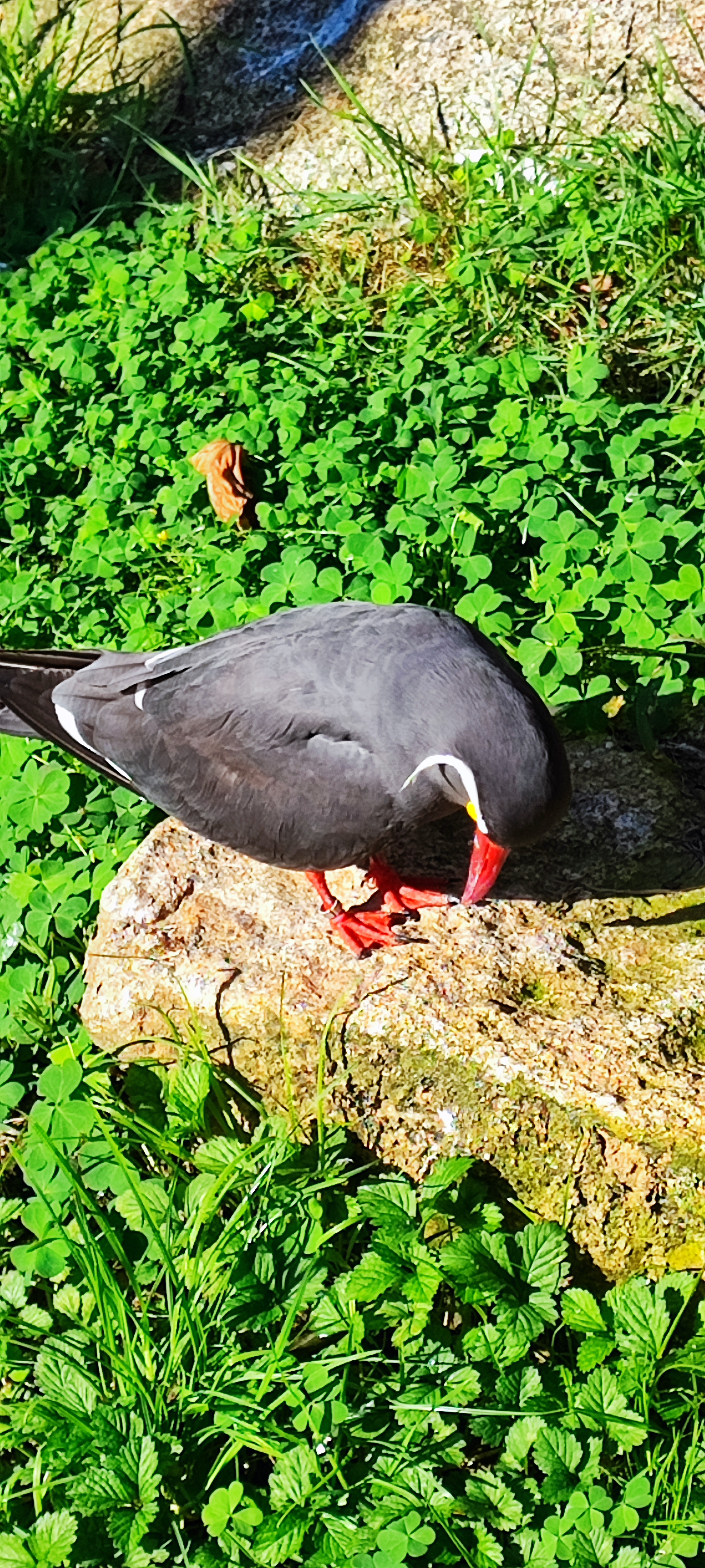 Photo n° 39 de l'avis de Thierry.i fait le 28/09/2023 à 17:40