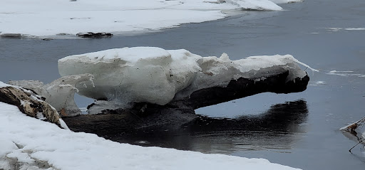 Nature Preserve «Esopus Meadows Preserve», reviews and photos, 257 River Rd, Ulster Park, NY 12487, USA