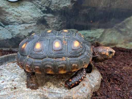 Pet Supply Store «Petco Animal Supplies», reviews and photos, 22 Peninsula Center, Rolling Hills Estates, CA 90274, USA