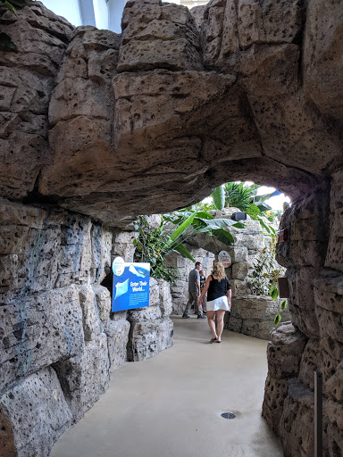 Aquarium «Newport Aquarium», reviews and photos, 1 Aquarium Way, Newport, KY 41071, USA