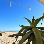 Photo n°8 de l'avis de Laurens.a fait le 27/09/2022 à 17:03 sur le  Princesa à Costa da Caparica