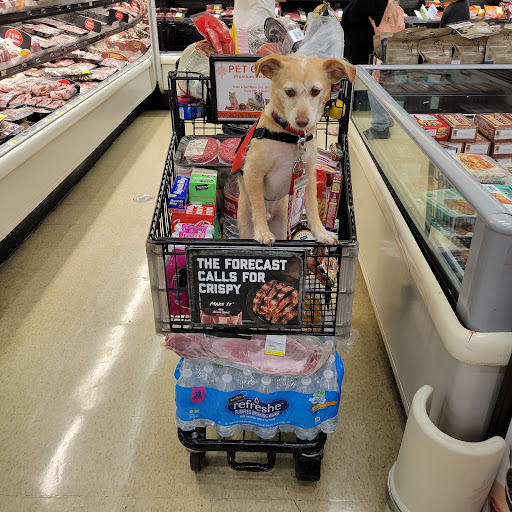 Grocery Store «Safeway», reviews and photos, 1071 11th St, Lakeport, CA 95453, USA