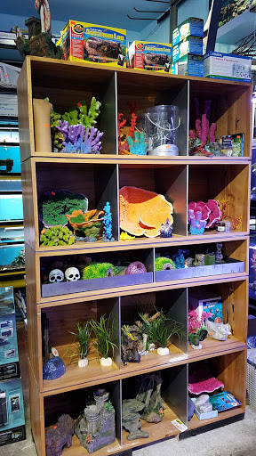 Aquarium «Pacific Aquarium & Plant Inc», reviews and photos, 46 Delancey St #1, New York, NY 10002, USA