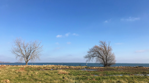 Golf Course «Lake Erie Metropark Golf Course», reviews and photos, 14786 Lee Rd, Rockwood, MI 48173, USA