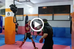 Teuta MMA - Gladiator MMA Albania image