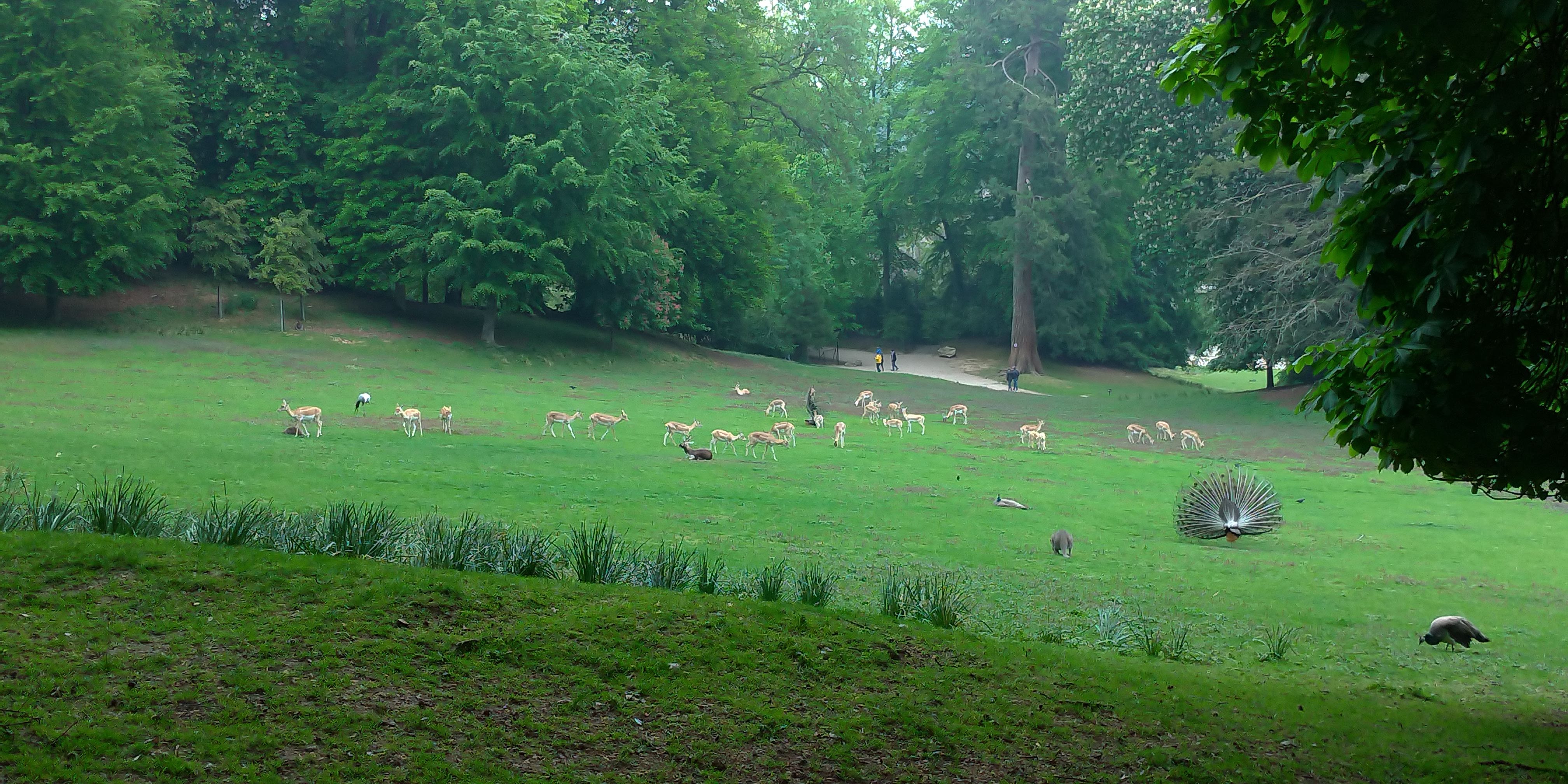 Photo n° 21 de l'avis de Maxime.E fait le 19/05/2019 à 20:15