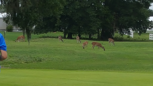 Golf Club «Silver Dollar Golf & Trap Club», reviews and photos, 12711 Silver Dollar Dr, Odessa, FL 33556, USA