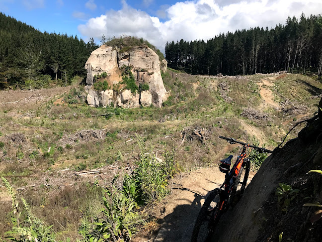 Craters Mountain Bike Park - Taupo