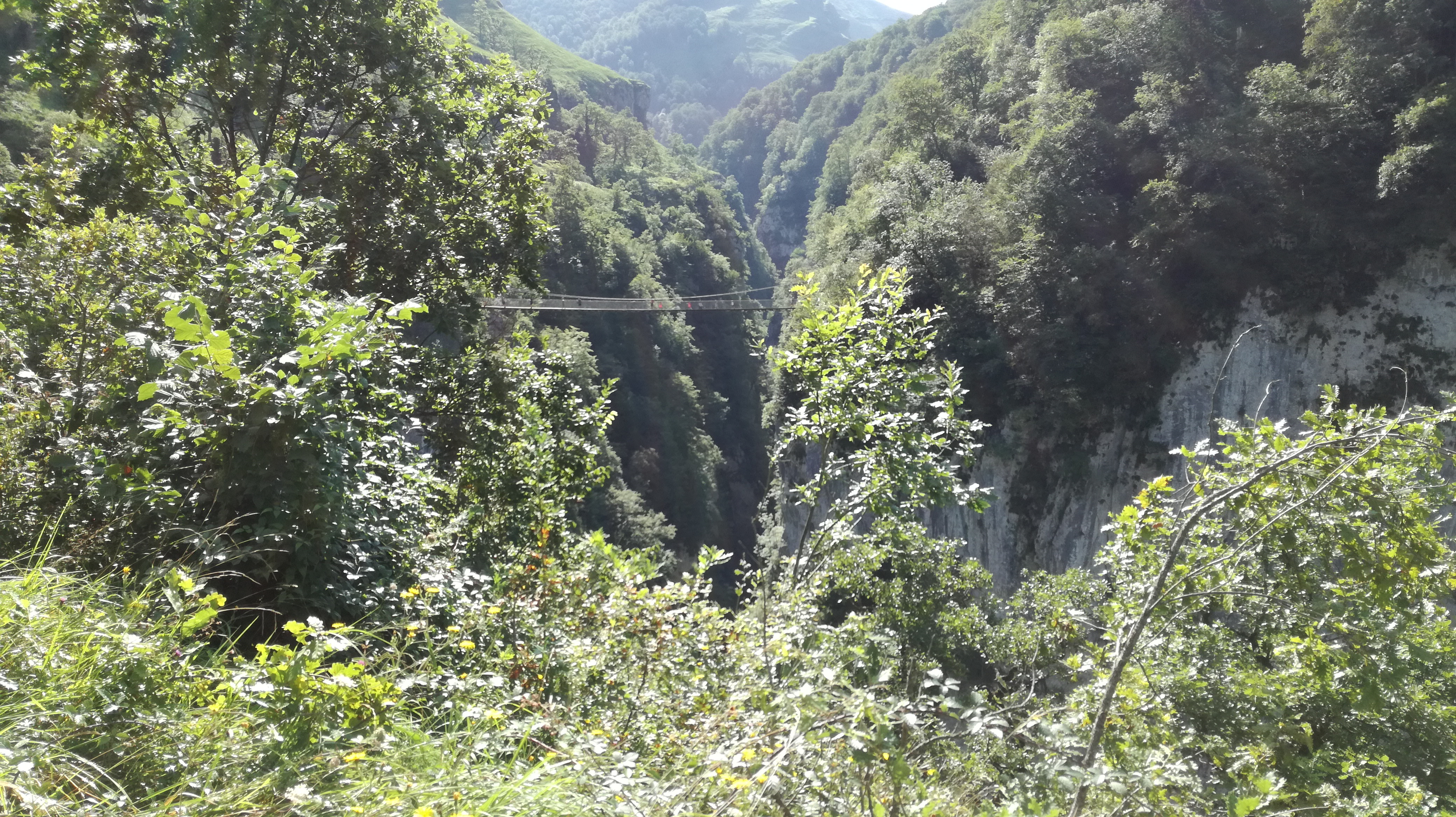 Photo n° 6 de l'avis de Thierry.i fait le 26/08/2018 à 10:49